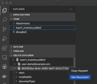 Get Document in Visual Studio Code