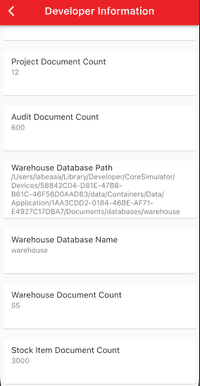 Developer - Database Information
